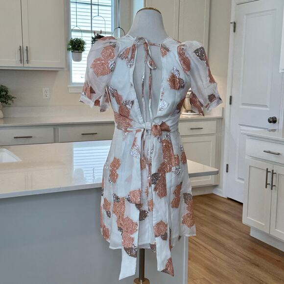 Hello Molly | NWT Orchard Fields Dress in Peach - Picture 5 of 7